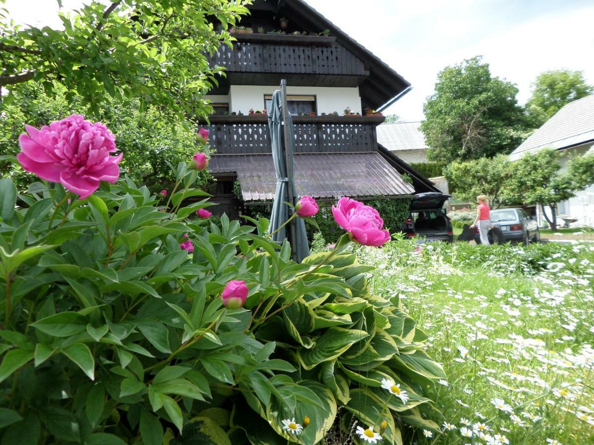 Snezak 2 Apartment Bohinj Exterior photo